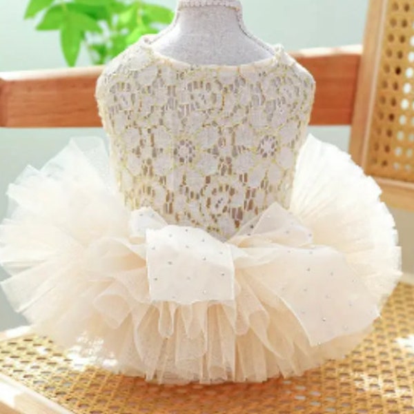 SALE !!! Ivory with Gold Threaded Lace and Tulle Tutu Dog Dress for Your Lovely Little Girl