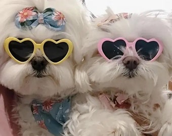 Super Cute Heart Sunglasses for Tiny Dogs in pink or yellow