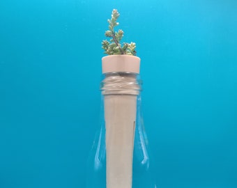 Bottle top planter