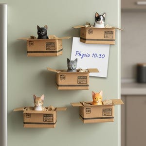 Magnete, Katze, Kühlschrank Magnet, Kühlschrankmagnete, Geschenke für Katzenliebhaber, Katzen Geschenke, witzige Magnete, Katzen Geschenk