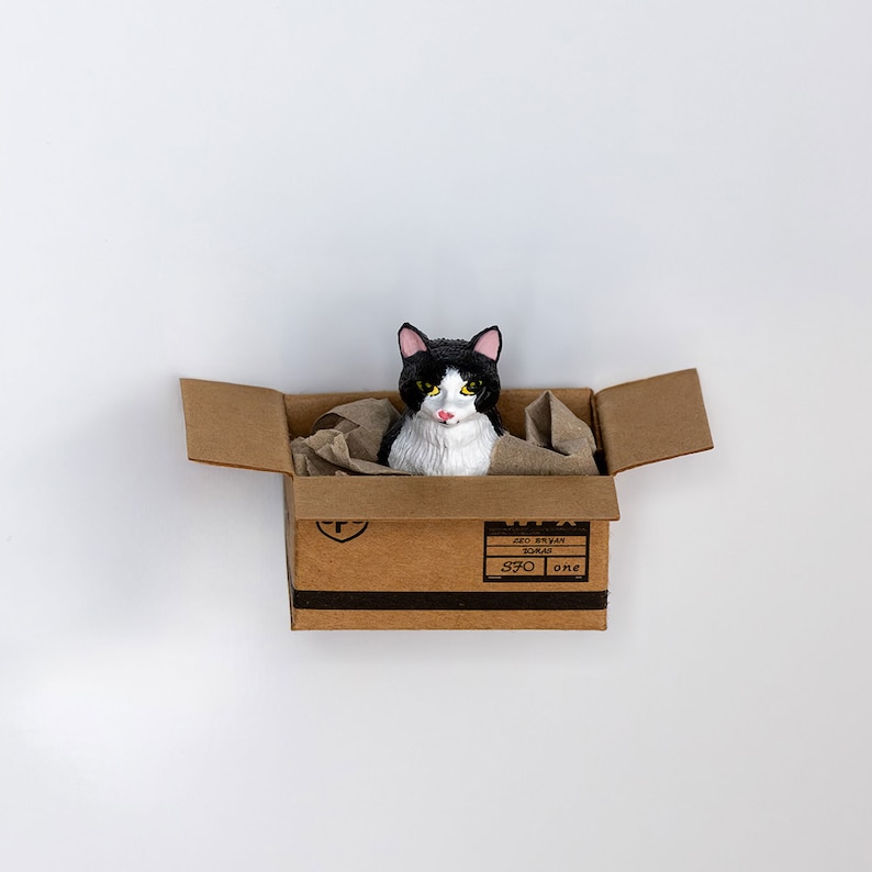 Geschenke für Katzenliebhaber, Magnete, Katze, Kühlschrank Magnet, Kühlschrankmagnete, Pinnwand Magnet, Magnet Katze, Katzen Geschenke Schwarz Weiß