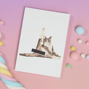 Carte postale chat, avec enveloppe rose, carte postale, carte drôle chat, carte d'anniversaire, carte de voeux drôle, carte chat, carte chat