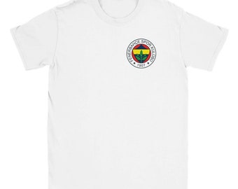 Maillot Domicile Fenerbahçe 2012-13 - Football Kit Archive