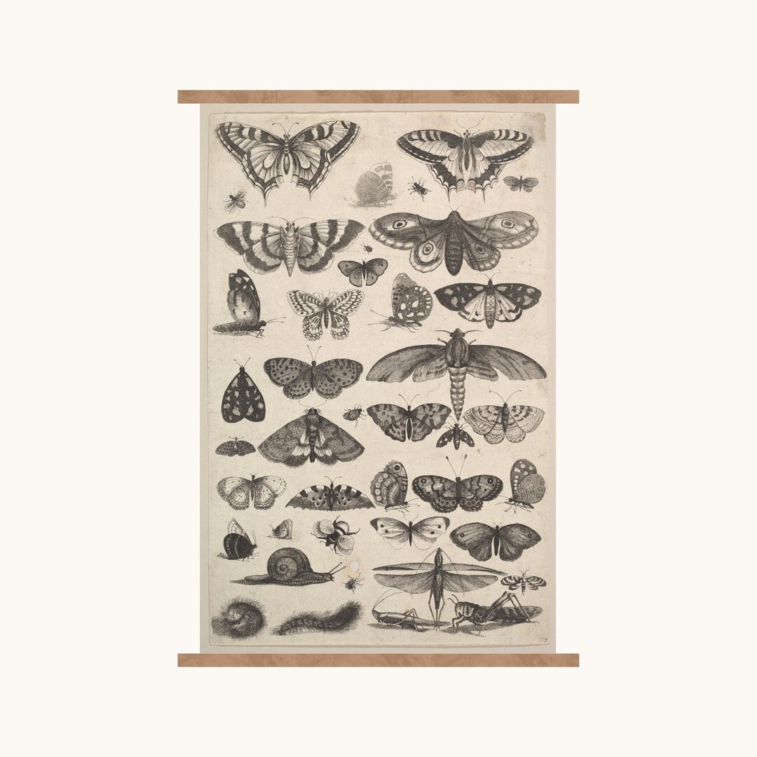 Vintage Insect Print | Vintage PRINTABLE Wall Art | Cottagecore Neutral ...