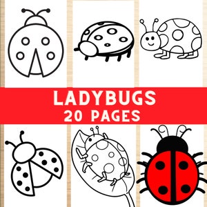 May include: A set of 20 coloring pages featuring black and white illustrations of ladybugs. The title "Ladybugs 20 Pages" is displayed at the top of the image.