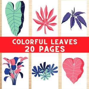 Colorful leaves illustrations, clip art, botanical art, cute details