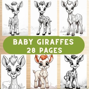Baby giraffe coloring pages, cute giraffe coloring book, printable baby animal designs, adorable giraffe illustrations, kids&#39; coloring fun