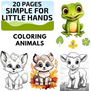 May include: A coloring book with 20 pages of simple animal illustrations for kids. The cover features a green frog with a big smile. The title of the book is "20 Pages Simple for Little Hands Coloring Animals".