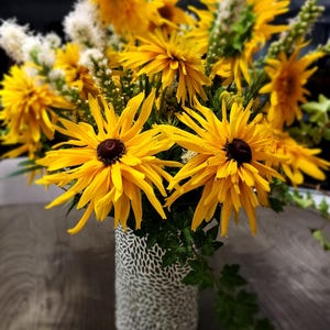 Nasiona Rudbeckia / Black Eyed Susan: Opakowanie 100 sztuk, mieszane kolory