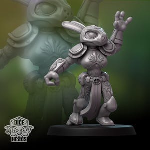 Dice Heads Ragin' Rabbits Fantasy Football Team - Etsy