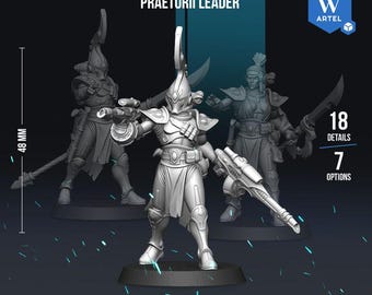 Artel W Praetorii Leader Fantasy Sci-Fi Space Elves