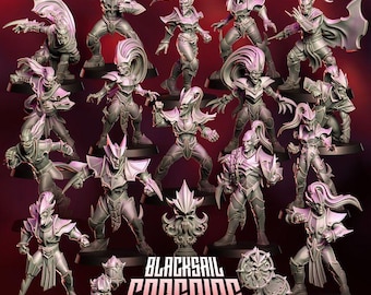 Punga Blacksail Corsairs Dark Elf Fantasy Football Team