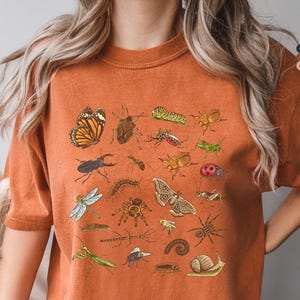 May include: Burnt orange t-shirt featuring a detailed illustration of various insects, including a butterfly, dragonfly, and spider. The graphic is centered on the front of the shirt. The shirt has short sleeves and a relaxed fit.