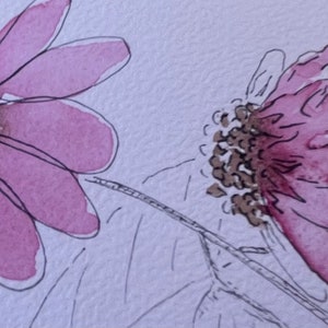 Handgemaakte waterverf tekening van paarse bloemen op een witte achtergrond. Mijn absolute favoriet. Kwetsbaar en sterk.