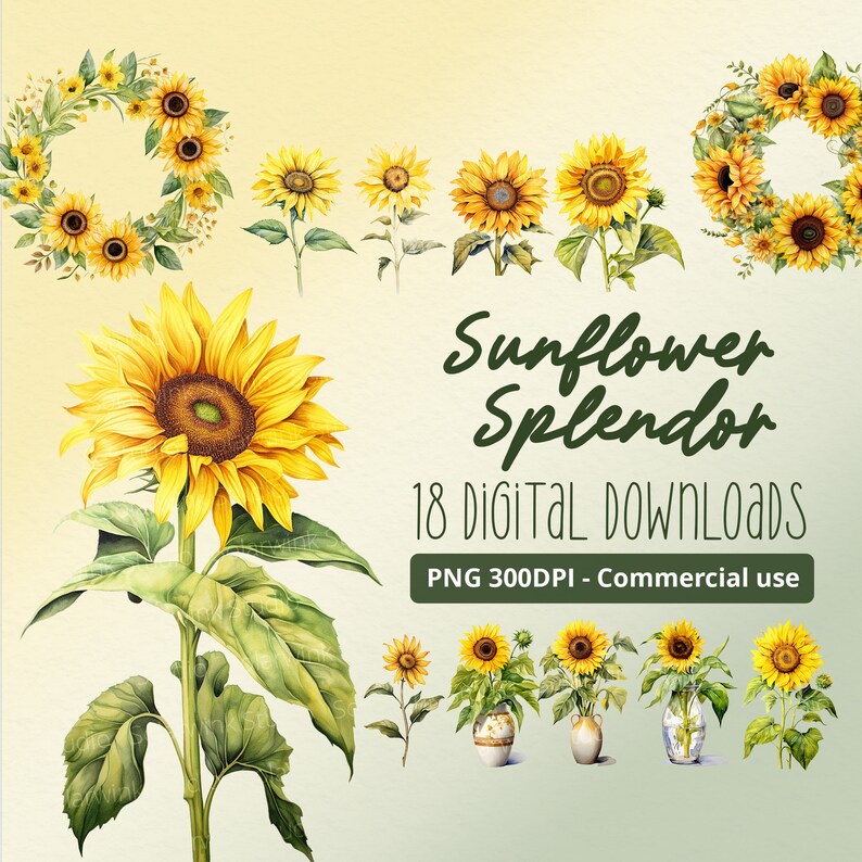 Sunflower Splendor: PNG Clipart Set of 18 Watercolor Paintings ...