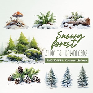 Serene sneeuwlandschappen: 31 olieverfstijl bosillustraties - commercieel gebruik, 300DPI, besneeuwde clipart, natuurkunst, winterontwerp, scrapbooking