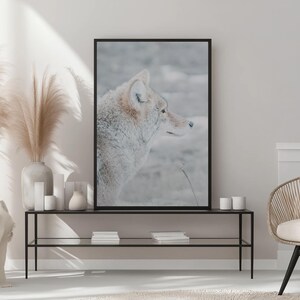 Coyote Wall Art – Stampa fotografica di animali selvatici invernali / Ritratto minimalista di animali / Decorazione artistica per casa, ufficio o baita