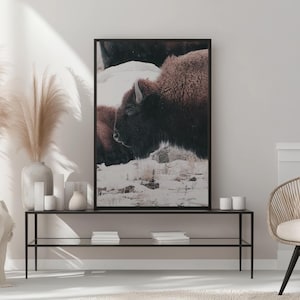 Decorazione murale con bisonte in inverno - Stampa fotografica di animali selvatici del bisonte / Decorazione rustica della natura del West americano / Belle arti per casa, ufficio o baita