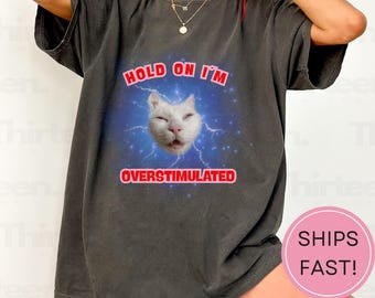 Overstimulated Cat Meme Shirt: Funny Vintage Style Tee