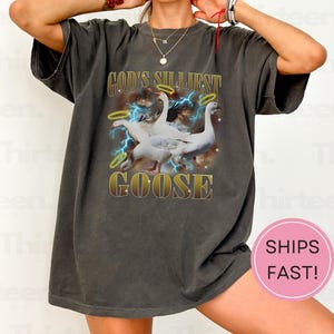 God&#39;s Silliest Goose Funny Sarcastic Vintage 90s T-Shirt, Retro 80s Silly Goose Shirt, Funny Retro God Shirt, Unisex Adult Gag Tee
