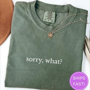 Funny Sarcastic &#39;Sorry What&#39; Comfort Colors T-Shirt - College Humor