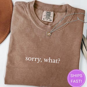 Comfort Colors Sarcastic Tee, Sorry What Shirt, Retro Humor Gift