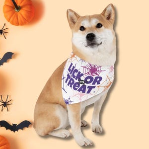 Halloween Dog Bandana, Pet Bandana Collar, Halloween Dog Accessories, Dog Halloween Neck Wear, Pet Accessory, Halloween Pet Photoshoot Prop