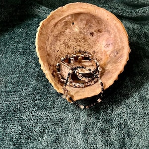 Vintage New Zealand Natural Abalone Shell Natural Seashell Natural Abalone Shell
