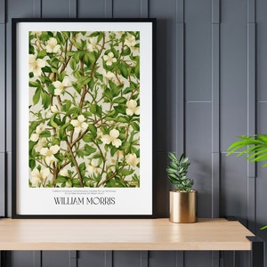 Póster floral de William Morris, póster de museo de arte mural de galería botánica, impresión de flores, decoración del hogar