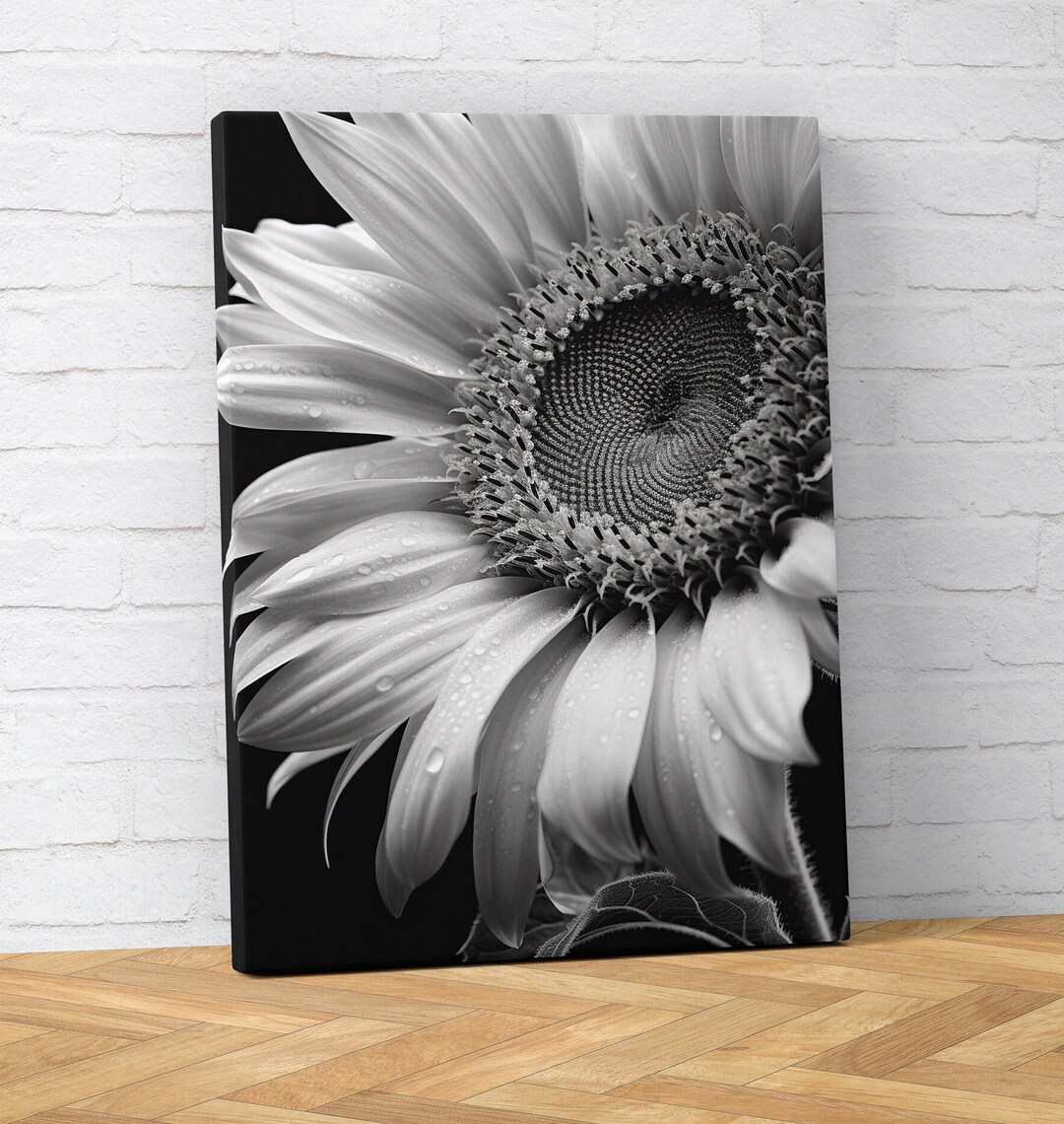 Monochrome Sunflower Canvas Fine Art Print Black & White Flower Wall
