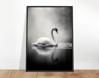 Black Framed Swan Print: Elegant Wildlife Art