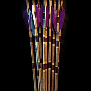 Special Parabolic Maned Traditional Arrows - 12 Piece (ABY Archery Design)