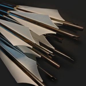 Special Shield Cut Maned Traditional Arrows - 12 Piece (ABY Archery Design)