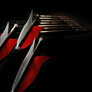 Special Red White Tulip Maned Traditional Arrows - 12 Piece (ABY Archery Design)