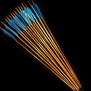 Special Shield Cut Maned Traditional Arrows - 12 Piece (ABY Archery Design)