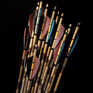 Special Shield Cut Maned Traditional Arrows - 12 Piece (ABY Archery Design)