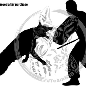 German Shepherd and Male Decoy (Bite Suit)