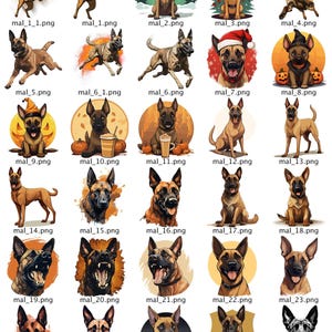 Belgisk Malinois Helt anpassningsbara vinyldekaler, Maligator, tecknad film, kul, presentidé, hundpappa, hundmamma, Bite Sport, PSA, IGP, Mondio