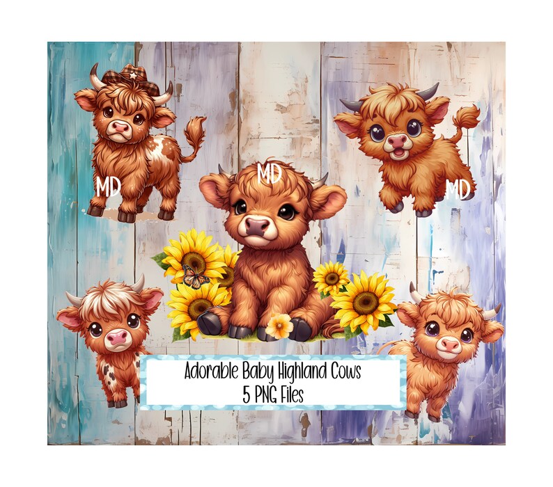 Cute Baby Highland Cow Clipart, Highland Cow PNG, Cute Highland Cow ...