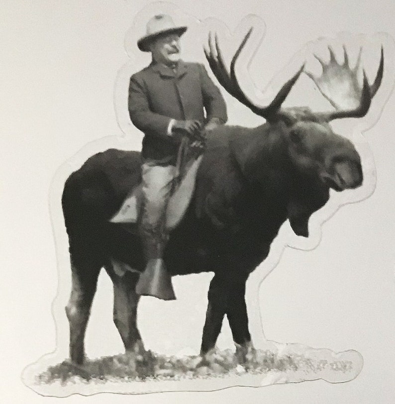 Roosevelt Riding A Moose