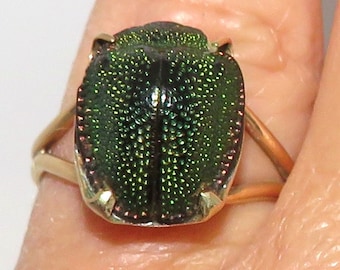 10 K Gold Real Leaf Beetle Ring