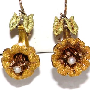 May include: A pair of gold flower earrings with a pearl in the center of each flower. The flowers are detailed with textured gold and green leaves.