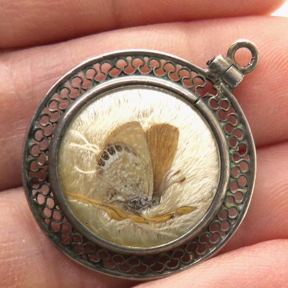 Double Sided Real Tiny Butterfly under Glass Pend… - image 1