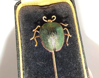 Victorian Real Beetle and 14 K Gold Stick Pin in Box