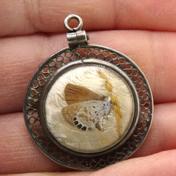 Double Sided Real Tiny Butterfly under Glass Pend… - image 3