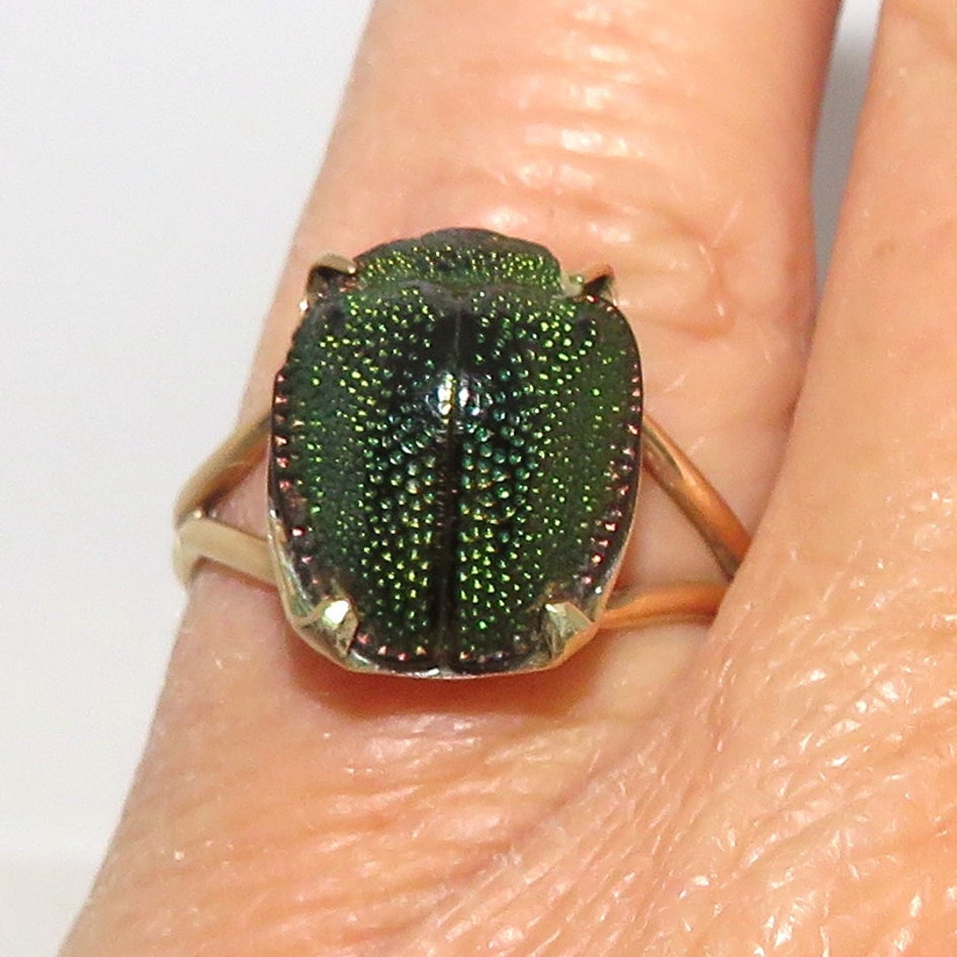 10 K Gold Real Leaf Beetle Ring - Etsy