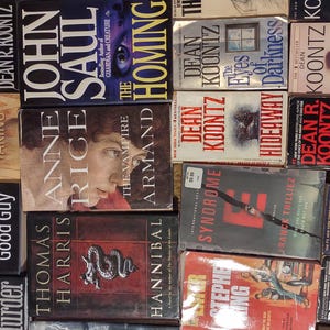 K&ouml;nnte beinhalten: Eine Sammlung verschiedener Taschenb&uuml;cher, die in einem Raster angeordnet sind und Titel von Autoren wie Dean Koontz, John Saul, Anne Rice und Thomas Harris zeigen. Die Einb&auml;nde weisen diverse grafische Designs auf, darunter Portr&auml;ts und Texte.