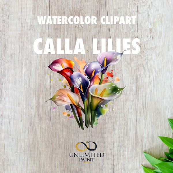 Calla Lilies Watercolor Clipart Flower Bundle Nature Botanical Themed Instant Download PNG Files Transparent Background Design For Wedding