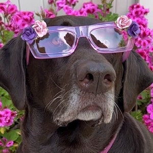Large Dog Sunglasses, Dog Sunglasses for social media, Dog flower sunglasses, Dog summer sunglasses, Dog accessory, Dog fashion, Boujee Dog,