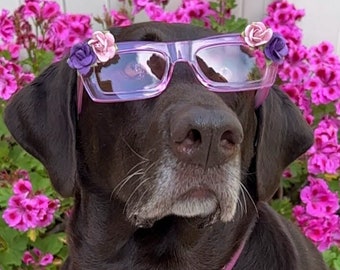 Large Dog Sunglasses, Dog Sunglasses for social media, Dog flower sunglasses, Dog summer sunglasses, Dog accessory, Dog fashion, Boujee Dog,